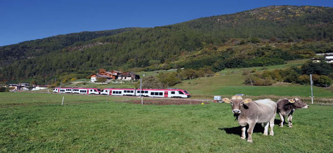 Trentino Guest Card - trasporti in Trentino